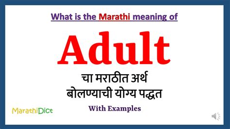 software meaning in marathi
